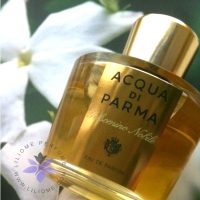عطر آکوا دی پارما گلسومینو - Acqua di Parma Gelsomino