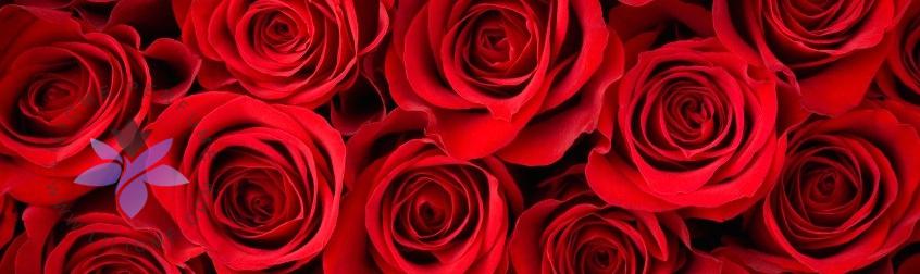 رایحه گلها عطر و ادکلن یا نت گلی - Flowers note