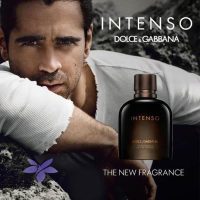 عطر ادکلن دی اند جی دلچه گابانا پور هوم اینتنسو-Dolce Gabbana Pour Homme Intenso