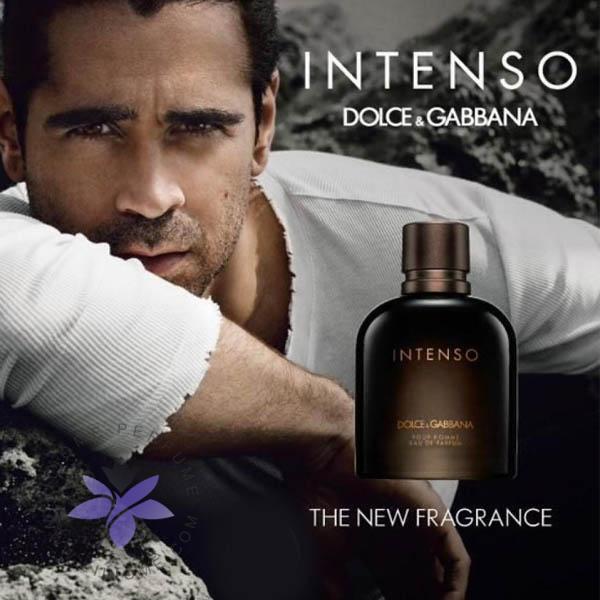 عطر ادکلن دی اند جی دلچه گابانا پور هوم اینتنسو-Dolce Gabbana Pour Homme Intenso
