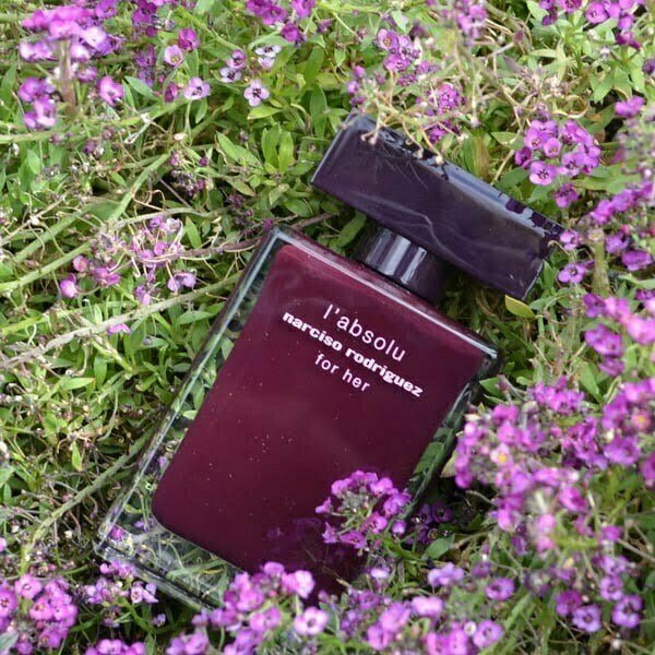عطر ادکلن نارسیس رودریگز له ابسولو-Narciso Rodriguez L'Absolu