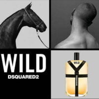 عطر ادکلن دسکوارد وایلد-DSQUARED Wild