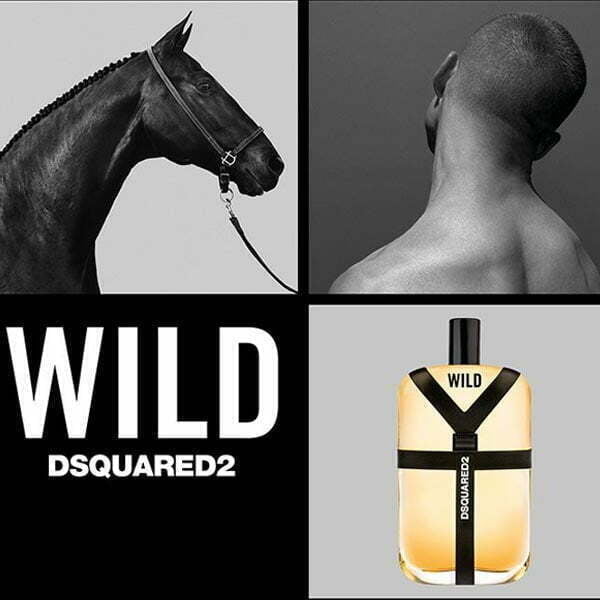 عطر ادکلن دسکوارد وایلد-DSQUARED Wild