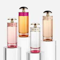 عطر ادکلن پرادا کندی-prada Candy