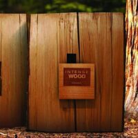 عطر ادکلن هی وود اینتنس-Intense He Wood