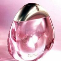 عطر ادکلن دیویدوف اکو زنانه-Davidoff Echo for Women