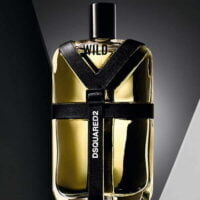 عطر ادکلن دسکوارد وایلد-DSQUARED Wild