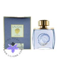 عطر ادکلن لالیک لی فان Lalique Le Faune
