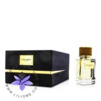 عطر ادکلن دلچه گابانا ولوت وود-Dolce Gabbana Velvet Wood