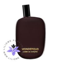 عطر ادکلن کومه دس گارسنز واندرعود-Comme des Garcons Wonderoud