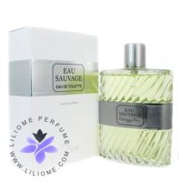 عطر ادکلن دیور او ساواج ادو تویلت-Dior Eau Sauvage