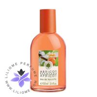 عطر ادکلن ایو روشه ابریکوت برگران-Yves Rocher Abricot Bergeron