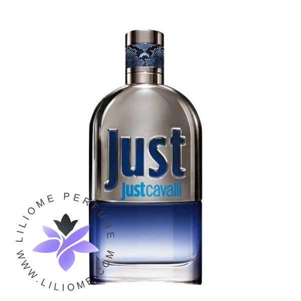 عطر ادکلن روبرتو کاوالی جاست کاوالی مردانه-Roberto Cavalli Just Cavalli Him