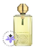 عطر ادکلن لوئو-لوئوه لس تاردس د کاپریچو-Loewe Las tardes de Capricho
