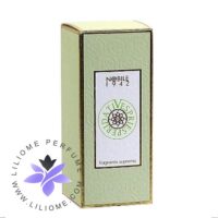 عطر ادکلن نوبیل 1942 وسپری اسپریداتی زنانه-Nobile 1942 Vespri Esperidati Women