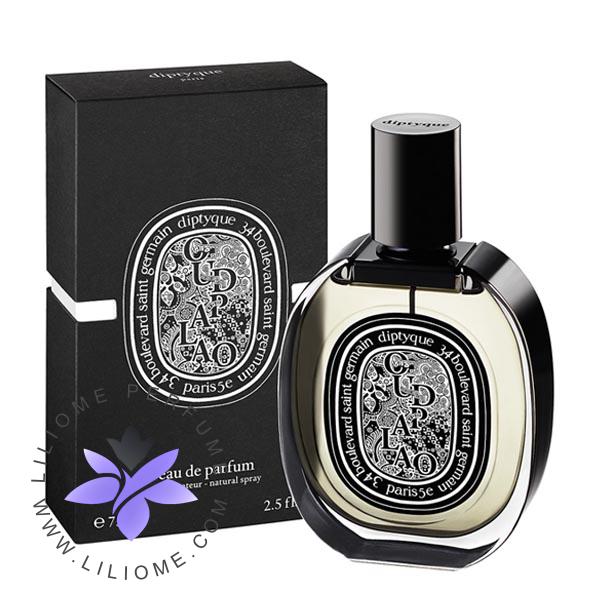 عطر ادکلن دیپتیک عود پالائو-Diptyque Oud Palao