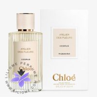 عطر ادکلن کلوهه سدروس | Chloe Cedrus - تصویر 2