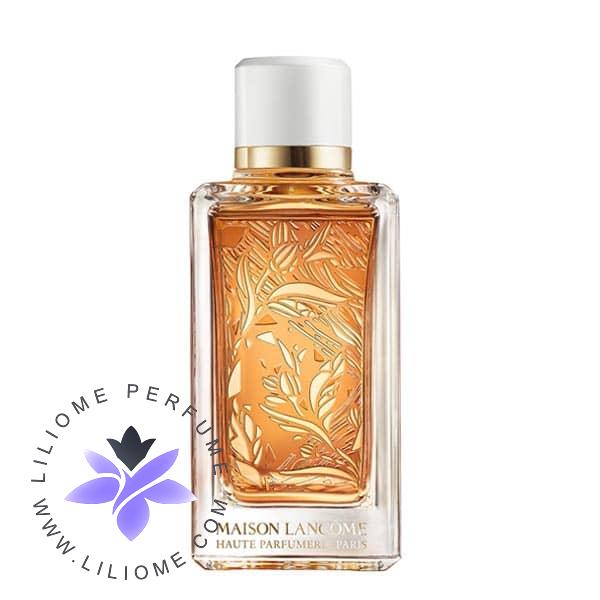 عطر ادکلن لانکوم سانتال کاردامون Lancome Santal Kardamon
