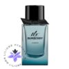 عطر ادکلن مستر بابری المنت | Mr. burberry Element