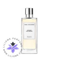 عطر ادکلن آنجل شلیسر بولومینگ گریفروت | Angel Schlesser Blooming Grapefruit