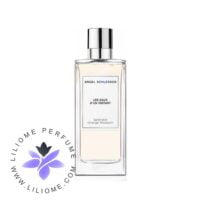 عطر ادکلن آنجل شلیسر اسپلندید اورنج بلوسوم | Angel Schlesser Splendid Orange Blossom