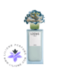 Loewe Agua Drop x Lladró