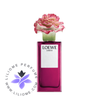 Loewe Earth x Lladró