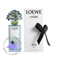 Loewe Agua Drop x Lladró