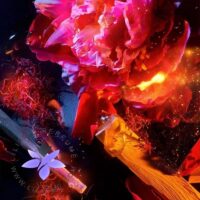 Roja Dove Parfum De La Nuit