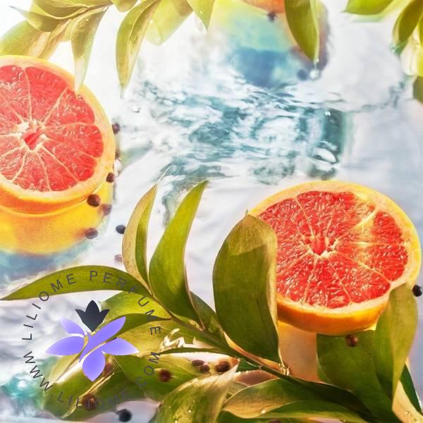 عطر ادکلن روژا داو الیزیوم او اینتنس | Roja Dove Elysium Eau Intense