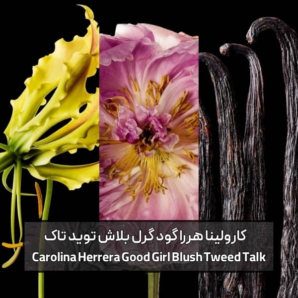عطر ادکلن کارولینا هررا گود گرل بلاش توید تاک | Carolina Herrera Good Girl Blush Tweed Talk