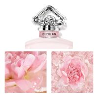 عطر ادکلن گرلن لا پتیت روب نویر لئو رز | Guerlain La Petite Robe Noire L'Eau Rose