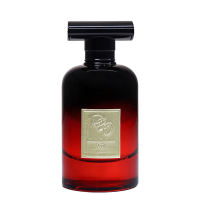 عطر ادکلن آر بی سی استوری کول ادو پرفیوم | RBC Story Cool EDP